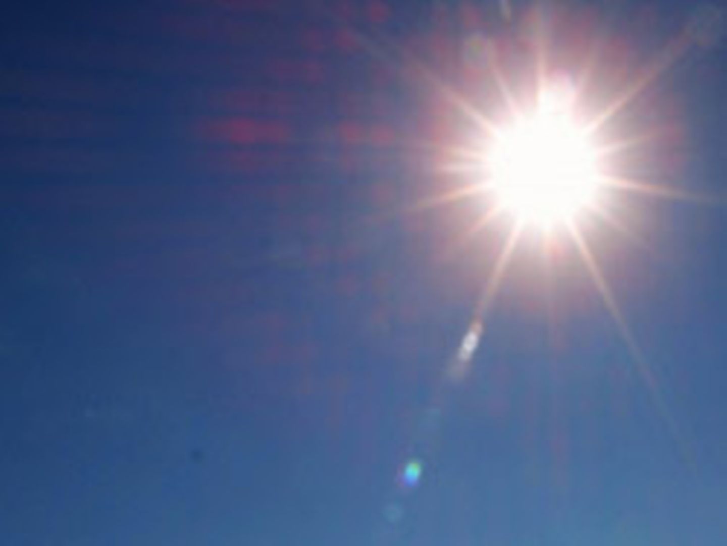 Die Sonne strahlt am tiefblauen Himmel. Sollte die globale Durchschnittstemperatur ansteigen, hätte dies fatale Folgen für die Artenvielfalt