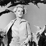 "Die Vögel" war ihr erster gemeinsamer Film. Doch die Dreharbeiten waren für Hedren qualvoll: In einer Szene gegen Ende des Films sollte sie in einen Raum gehen, der vollbesetzt war mit Vögeln. Man hatte Hedren versichert, es werde nur mit künstlichen Vögeln gedreht. Doch es kam anders: Zwei Männer in Schutzanzügen schleuderten lebendige Vögel in ihre Richtung. Diese Szene wurde eine ganze Woche lang gedreht. Immer wieder hackten Vögel nach ihr. Ein Vogel verfehlte ihr linkes Auge nur knapp und verpasste ihr eine tiefe Fleischwunde. Danach erlitt sie einen Nervenzusammenbruch und wurde eine Woche krankgeschrieben