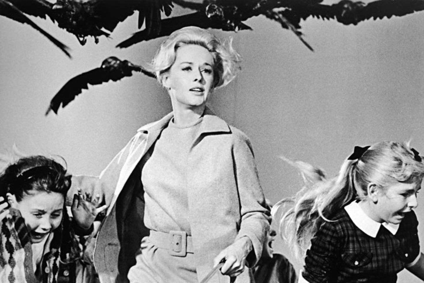 "Die Vögel" war ihr erster gemeinsamer Film. Doch die Dreharbeiten waren für Hedren qualvoll: In einer Szene gegen Ende des Films sollte sie in einen Raum gehen, der vollbesetzt war mit Vögeln. Man hatte Hedren versichert, es werde nur mit künstlichen Vögeln gedreht. Doch es kam anders: Zwei Männer in Schutzanzügen schleuderten lebendige Vögel in ihre Richtung. Diese Szene wurde eine ganze Woche lang gedreht. Immer wieder hackten Vögel nach ihr. Ein Vogel verfehlte ihr linkes Auge nur knapp und verpasste ihr eine tiefe Fleischwunde. Danach erlitt sie einen Nervenzusammenbruch und wurde eine Woche krankgeschrieben