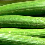 Salatgurken: 18 Prozent billiger als vor einem Jahr