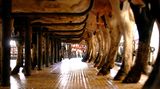 Selbst wenn die Landwirte die Ställe gar nicht mehr betreten, tragen Angehörige und Mitarbeiter die Allergie-Auslöser an ihrer Kleidung weiter ins Haus