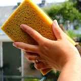 Martin L. aus Braunschweig erklärt sich den Begriff so: "Neuigkeiten saugt man auf, wie es ein Schwamm auch tut"