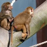 Weil das Schlafen, zumindest bei den Männern, oft direkt im Anschluss erfolgt...   Carsten Iltis, Hamburg