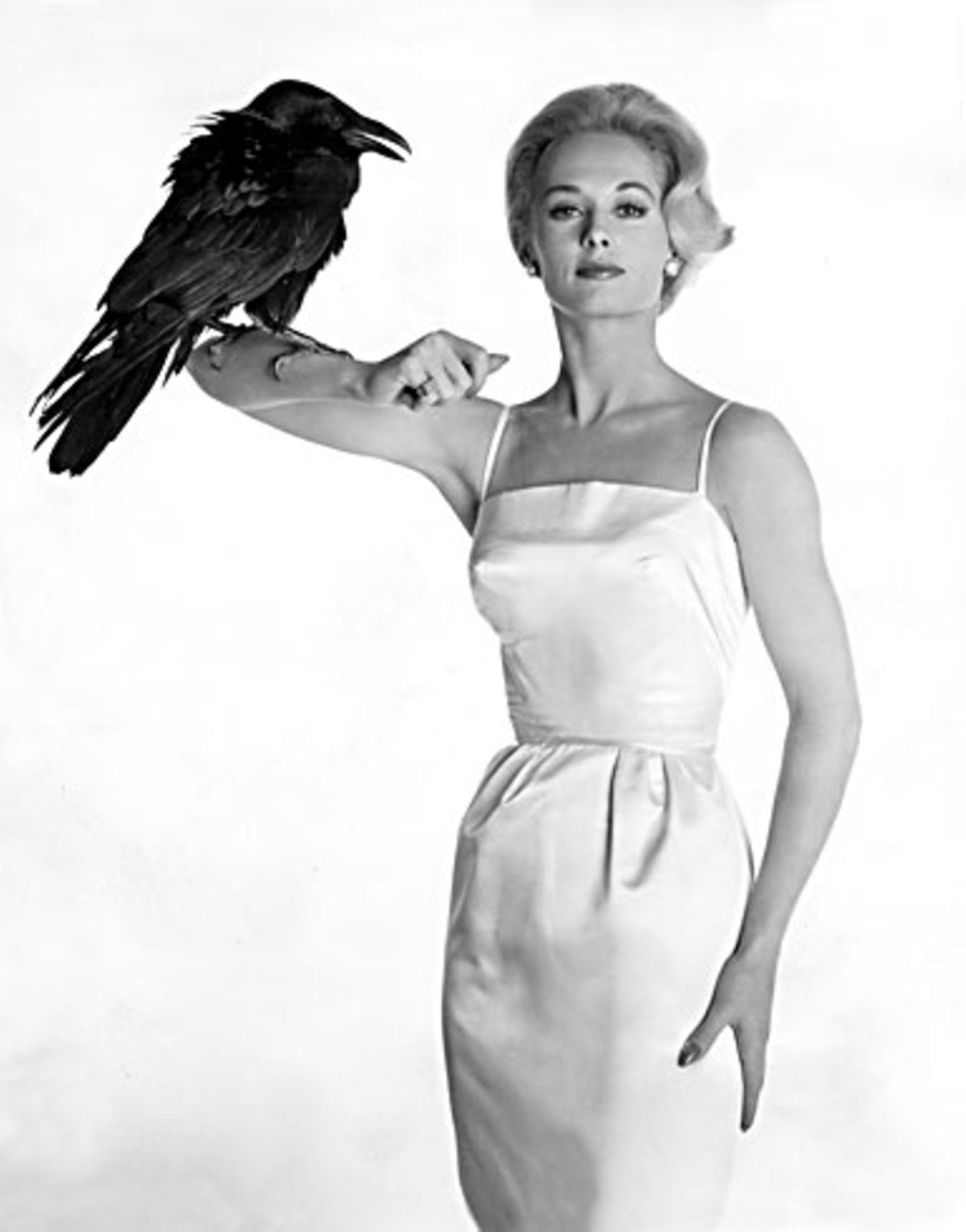 Die amerikanische Filmschauspielerin Tippi Hedren wurde weltberühmt durch ihre Rolle in "Die Vögel". Dabei hatte sie ursprünglich gar keine Schauspiel-Karriere geplant. Als Model verdiente sie gutes Geld. Im Oktober 1961 sah Alfred Hitchcock sie in einem Werbespot auf NBC und war augenblicklich angetan. Noch am selben Tag wies er seinen Agenten an, Kontakt aufzunehmen. Hitchcock hatte sich in den Kopf gesetzt, aus ihr eine Schauspielerin zu machen, und so unterschrieb sie einen exklusiven Siebenjahresvertrag. Die Gagen waren allerdings bescheiden. Im ersten Jahr bekam sie 500 Dollar pro Woche - weit weniger als sie vorher durchs Modeln verdient hatte