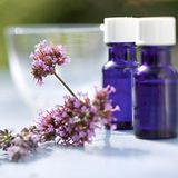 Thomas G. hat zwar keine Antwort auf die Frage, dafür aber eine Lösung für das Problem: "Man kann mit Lavendel Mücken und Fliegen fern halten, weil sie keine guten Gerüche mögen"