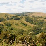 Auch das sanft-hügelige Hinterland der Traumroute hat seine Reize. Obstfarmen, Weinberge, Wasserfälle, Golfplätze und Ausflugslokale lohnen einen Abstecher