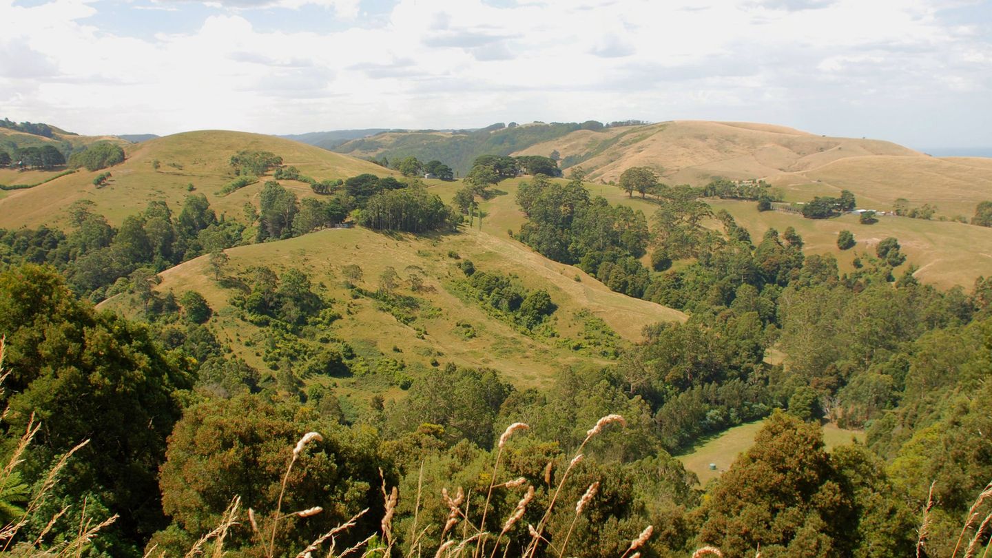 Auch das sanft-hügelige Hinterland der Traumroute hat seine Reize. Obstfarmen, Weinberge, Wasserfälle, Golfplätze und Ausflugslokale lohnen einen Abstecher