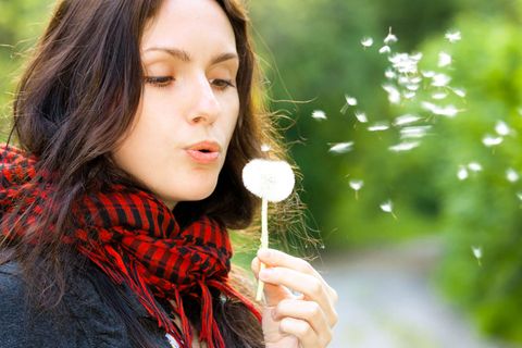 Einfach wegpusten lässt sich eine Allergie nicht: Geduld ist gefragt.