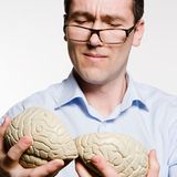 Die Wissenschaft von der Dummheit heißt Morologie