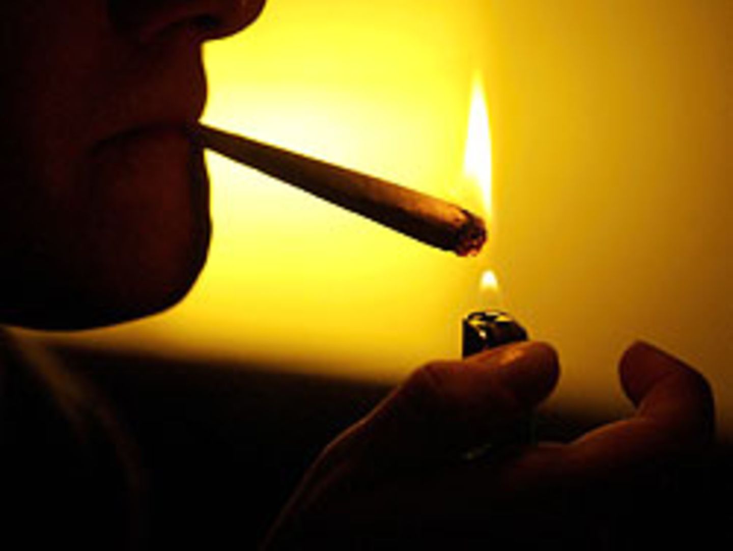 Der Sohn des Angeklagten war Drogenkonsument, er rauchte Cannabis. Um ihn in ein normales Leben zurückzuholen, wurde der Vater zum Straftäter