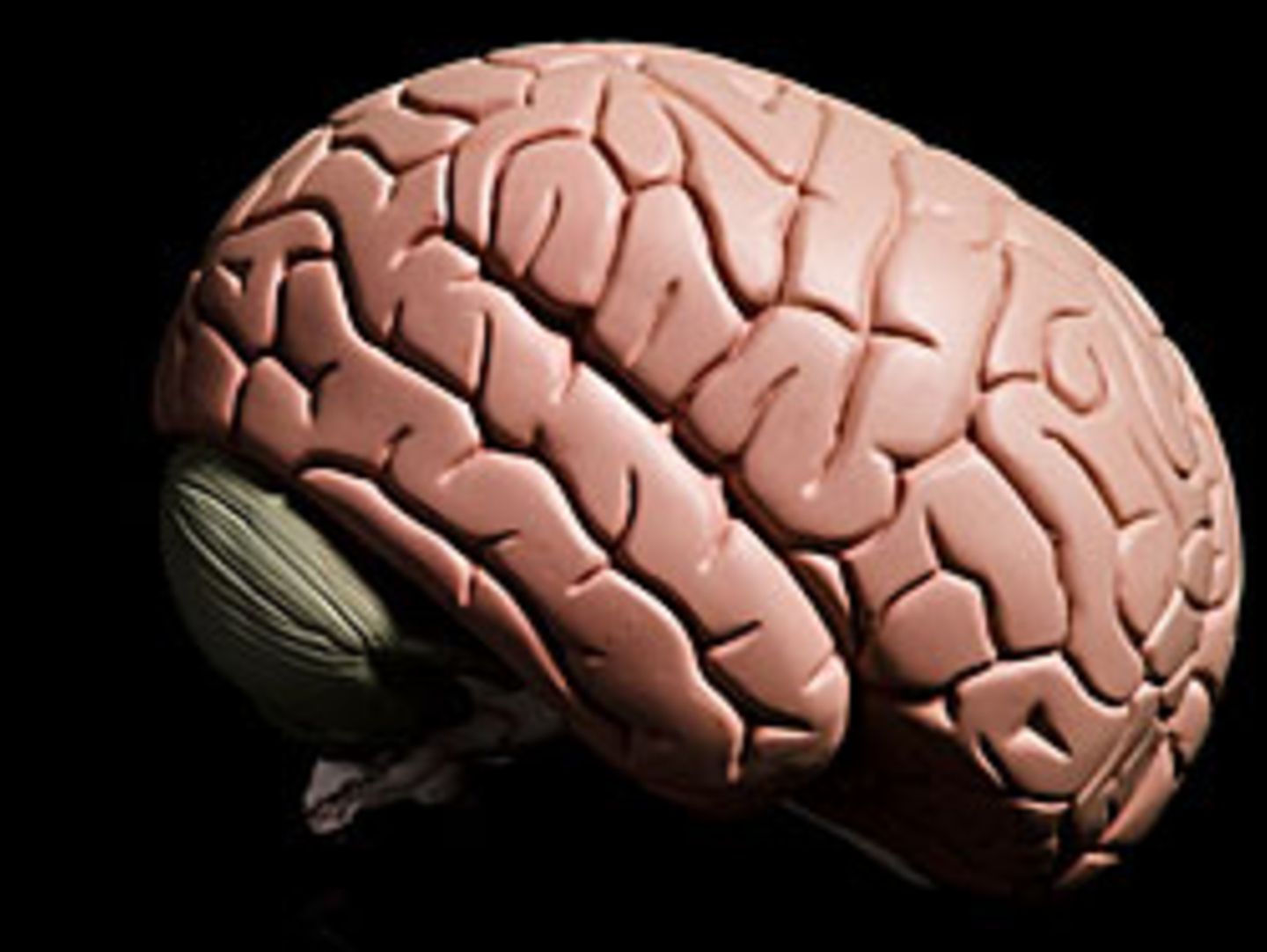 Bei Krankheiten wie Autismus oder Schizophrenie sind die Gehirne nicht nur sprichwörtlich aus dem Takt gekommen