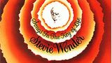 Wer bei Stevie Wonder noch immer zuerst an "I just called to say I love you" denkt, der sollte sich schleunigst Songs in the Key of Life zu Gemüte führen. Denn auf dem Doppelalbum aus dem Jahr 1976 präsentiert sich der Musiker als ausgereifter Künstler, der souverän auf der Tastatur der schwarzen Musiktradition zu spielen weiß, in seine Texte dabei immer auch die soziale Realität einfließen lässt. Das Album deckt von schmachtenden Balladen ("Joy inside my tears") über funkige Abräumer ("Sir Duke") bis hin zu klassischen Popsongs ("As") eine selten gehörte Bandbreite ab. Nie war Soul vielseitiger!