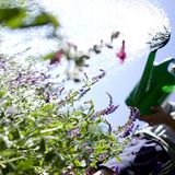 Felix M. aus Berlin rät Monika, es mal mit einer Gießkanne zu testen, dann würde sie es verstehen: "Lassen Sie den Inhalt aus gut einem Meter Höhe auf den flachen Boden oder in eine Mulde platschen - und dann gießen Sie das Wasser entspannt gegen einen Baum, so dass es in einem steilen Winkel in etwa halber Höhe auf die Oberfläche trifft"