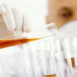 "Friedlicher, weil ein wesentliches trennendes Element zwischen fremden Kulturen entfiele. Reicher, weil weniger Geld für den Bau und Erhalt sinnfreier Bauprojekte benötigt würde. Ehrlicher, weil man in Wissenschaft und Forschung nie durch Dogmen von Religionen beschränkt würde. Freier, da religiöse Denkmuster nicht behindern würden. Beschäftigter, da die kirchlichen Feiertage wegfallen würden", schreibt Dirk Neckermann aus Essen