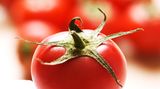 Spinat, Salat, Tomaten, auch Leber und Getreideprodukte enthalten reichlich Folsäure. Sie schützt vor Herz-Kreislauf-Erkrankungen.
