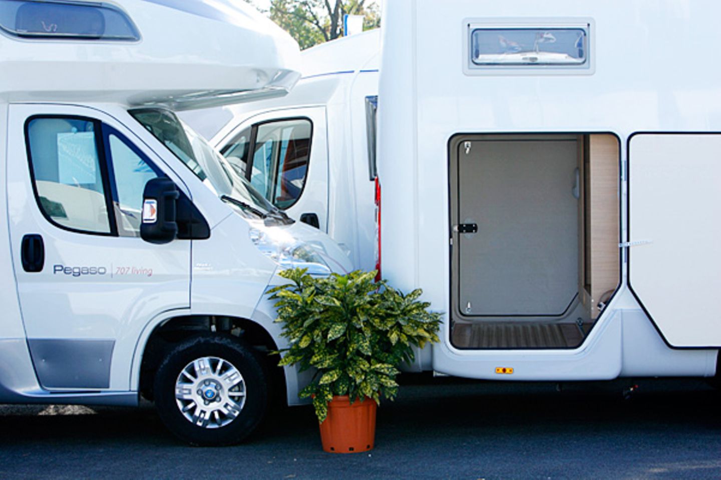 Google: Schleswig-Holstein Im nördlichsten Bundesland sind die Einwohner zwischen Nord- und Ostsee stürmische Zeiten gewohnt. Und da das Geld für keine Fernreise mehr reicht, sucht man halt nach einem Wohnmobil. Mit dem können die Norddeutschen ein wenig vor der nahenden Pleite entfliehen Die gefetteten von Google Trends ermittelten Begriffe zeigen an, wonach im jeweiligen Bundesland in der Krise deutlich mehr gesucht wurde, als den 15 anderen Bundesländern. Schleswig-Holstein Im nördlichsten Bundesland sind die Einwohner zwischen Nord- und Ostsee stürmische Zeiten gewohnt. Und da das Geld für keine Fernreise mehr reicht, sucht man halt nach einem Wohnmobil. Mit dem können die Norddeutschen ein wenig vor der nahenden Pleite entfliehen Die gefetteten von Google Trends ermittelten Begriffe zeigen an, wonach im jeweiligen Bundesland in der Krise deutlich mehr gesucht wurde, als den 15 anderen Bundesländern.