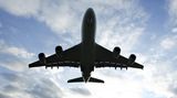 Im Flugzeug    Zwei Holländer besteigen ein Flugzeug nach London. Einer nimmt den Fensterplatz, der andere setzt sich neben ihn auf den mittleren Platz. Kurz vor dem Start setzt sich ein Deutscher auf den Platz am Gang. Nach dem Start zieht der Deutsche seine Schuhe aus, wackelt mit seinen Zehen und macht es sich gemütlich. Dann sagt der Holländer auf dem Fensterplatz: "Entschuldigen Sie, ich muss aufstehen und mir eine Cola holen."     "Bleiben Sie ruhig sitzen", sagt der Deutsche, "ich sitze am Gang. Ich hol' Ihnen Ihre Cola."  Kaum ist er aufgestanden, nimmt einer der Holländer einen seiner Schuhe und spuckt hinein. Als er mit der Cola zurückkehrt, sagt der andere Holländer: "Das sieht gut aus, ich hätte auch gern eine." Wieder erklärt sich der Deutsche bereit, sie zu holen. Als er weg ist, nimmt der andere Holländer den anderen Schuh und spuckt ebenfalls hinein. Als der Deutsche zurückkommt, lehnen sich alle zurück und genießen den Flug.     Als das Flugzeug zur Landung ansetzt, zieht der Deutsche seine Schuhe an und bemerkt sofort, was passiert ist.    "Warum nur?" fragt er. "Wie lange wird das noch weitergehen? Dieser Kampf zwischen unseren Nationen. Dieser Hass. Diese Animositäten. Dieses In-die-Schuhe-Spucken und In-die-Cola-Pissen."