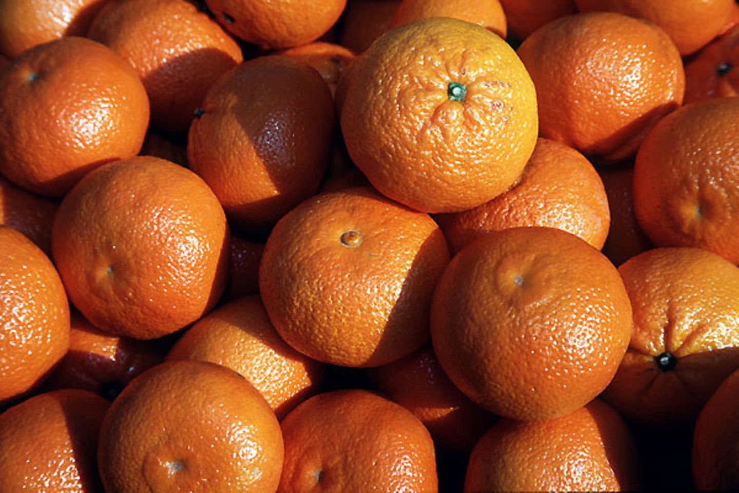 Weil sie Orangenhaut haben!   Dieter Scherm, Olsberg-Antfeld