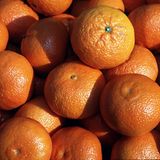 Weil sie Orangenhaut haben!   Dieter Scherm, Olsberg-Antfeld