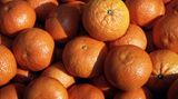 Weil sie Orangenhaut haben!   Dieter Scherm, Olsberg-Antfeld