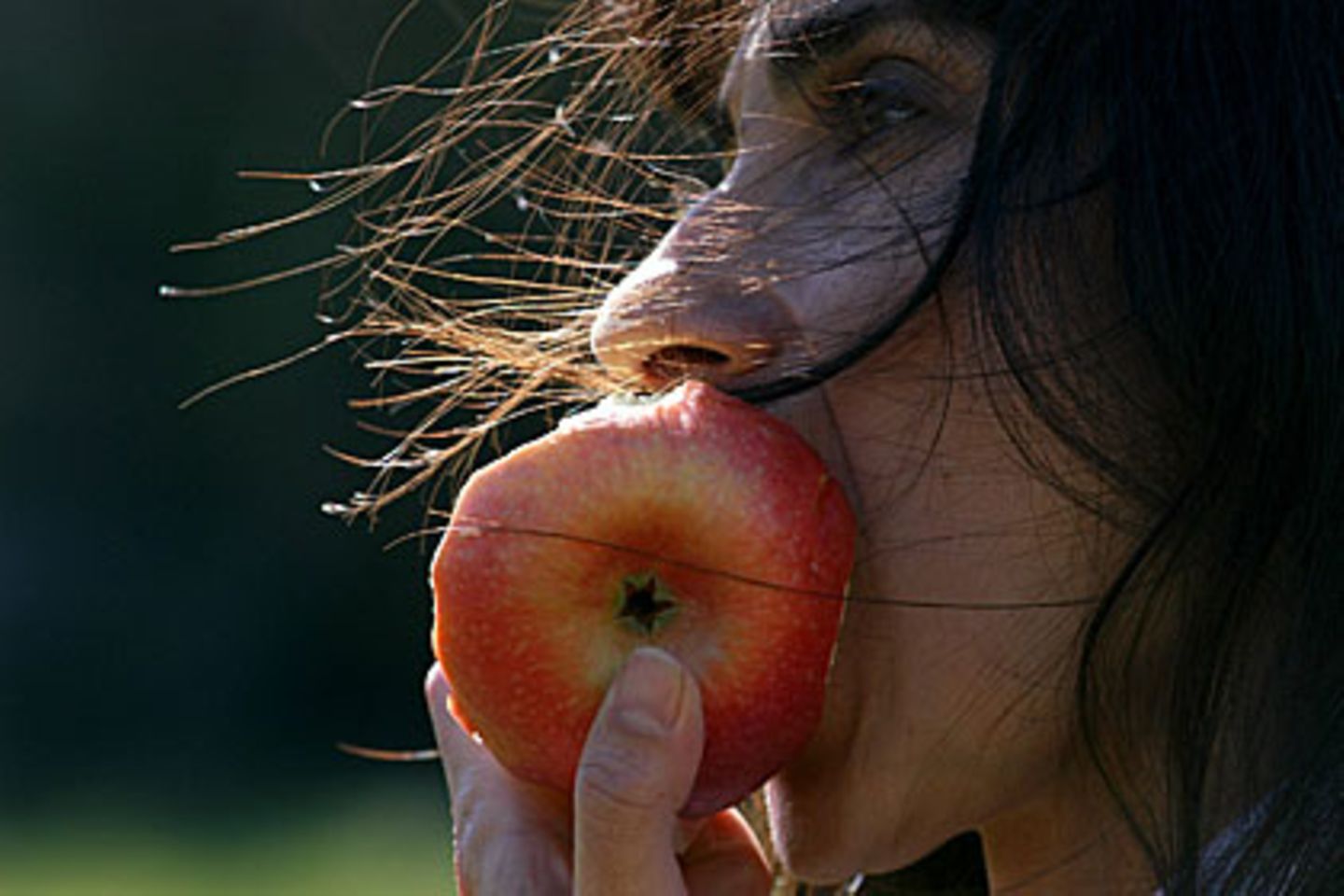 Ein Apfel am Tag ist bei Metabolic Balance Pflicht