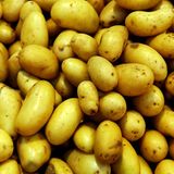 Ein schwacher Trost: Kartoffelpreise sind um 12,5 Prozent gesunken im Vergleich zum Vorjahr