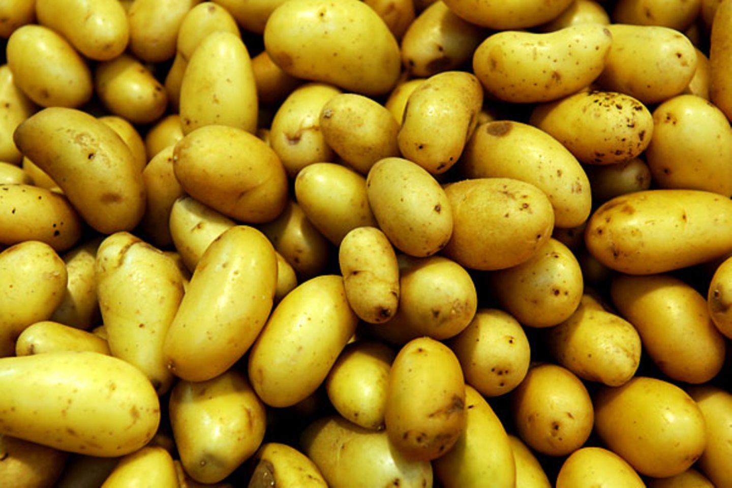 Ein schwacher Trost: Kartoffelpreise sind um 12,5 Prozent gesunken im Vergleich zum Vorjahr