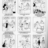 stern-Cartoons: Fritz Wolf