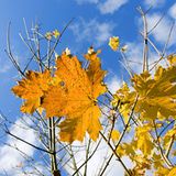 Mehr Licht    Lassen Sie bei Frust-Attacken die Schokolade liegen und gehen Sie draußen spazieren. Sonnenstrahlen bringen den Stoffwechsel im Gehirn auf Trab und bescheren so Glücksgefühle. Experten raten zu einem täglichen Spaziergang von mindestens einer halben Stunde. Dabei muss nicht unbedingt die Sonne scheinen, auch das Licht eines Regentages ist stark genug