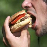 Marcus R. aus Grevenbroich denkt, dass bestimmte Vorlieben angeboren und weitervererbt wurden. "Vor Tausenden von Jahren war man auf fettreiche Nahrung angewiesen", erklärt er. "Würde man heute Essen entwickeln, das anders schmeckt, als das, was wir kennen, könnte es sein, dass es bei der Bevölkerung nicht ankommt." Er räumt jedoch ein: "Wenn man einen neuen Geschmack immer wieder zu sich nimmt, ändern sich womöglich auch die persönlichen Vorlieben"