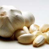 "Um nicht die eventuell um einen herum versammelten Mitmenschen wiederum mit betäubendem Mundgeruch zu erschrecken", schreibt Christina Loibl aus Gähnhausen