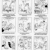 stern-Cartoons: Fritz Wolf