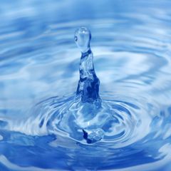 Bachblütenwasser: hochverdünnte Essenzen, an die viele glauben