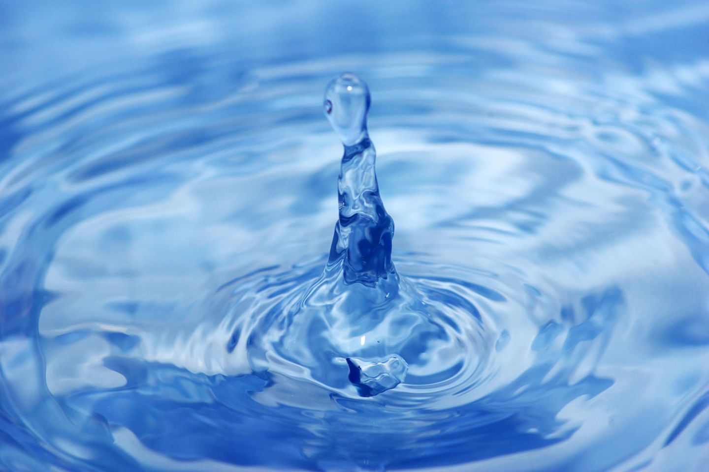 Bachblütenwasser: hochverdünnte Essenzen, an die viele glauben