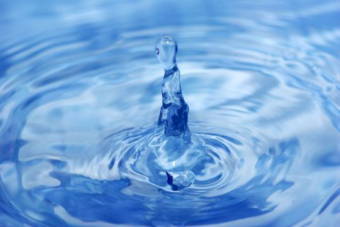 Bachblütenwasser: hochverdünnte Essenzen, an die viele glauben