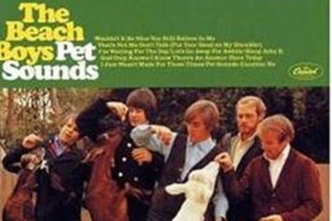 Wer die CD von "Pet Sounds" schon hat, sollte dennoch zuschlagen: Die Audio-DVD bringt eine klanglich spürbare Verbesserung