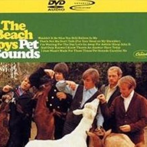 Wer die CD von "Pet Sounds" schon hat, sollte dennoch zuschlagen: Die Audio-DVD bringt eine klanglich spürbare Verbesserung