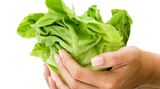 Salat: Teurer    Nicht alles was gesund ist, kostet jetzt weniger. Die Preise für Gemüse stiegen ingesamt im Vergleich zu 2008 um 5,8 Prozent. Besonders beim Salat rechnet sich jetzt der Eigenanbau im Garten: Eisberg- und Kopfsalat kosten 2009 34,8 Prozent mehr
