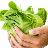 Salat: Teurer    Nicht alles was gesund ist, kostet jetzt weniger. Die Preise für Gemüse stiegen ingesamt im Vergleich zu 2008 um 5,8 Prozent. Besonders beim Salat rechnet sich jetzt der Eigenanbau im Garten: Eisberg- und Kopfsalat kosten 2009 34,8 Prozent mehr