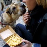 "Naja, das macht mein Hund auch, und das ist sogar ein Rüde", teilt Steffen S. aus Ludwigsburg mit