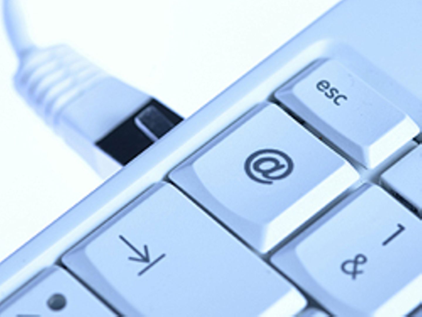Im Internet können Sie Menschen finden, die sich in derselben Situation befinden