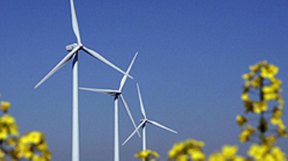 Ökofonds investieren nicht nur in erneuerbare Energien