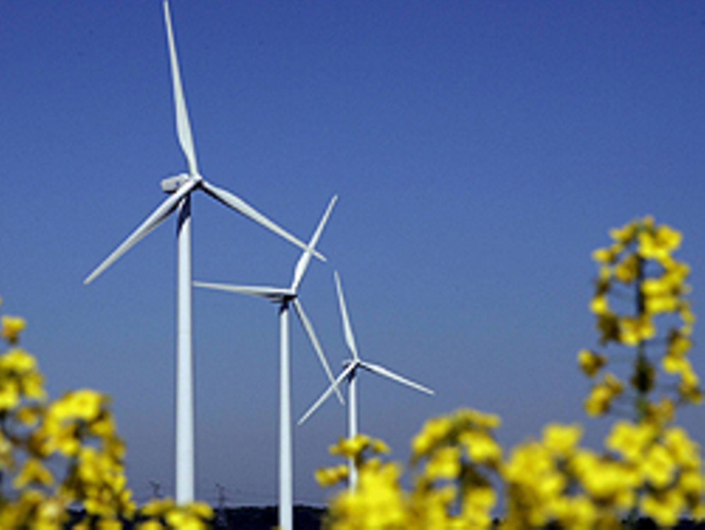 Ökofonds investieren nicht nur in erneuerbare Energien