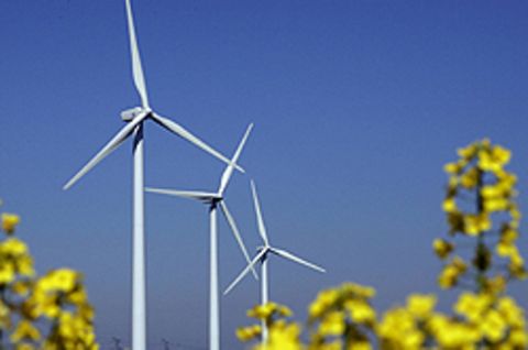 Ökofonds investieren nicht nur in erneuerbare Energien