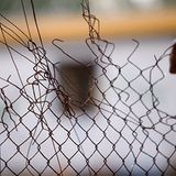 Achten Sie bei Entscheidungen auf das Maß der Freiheit, das Sie gewinnen oder verlieren!     Machtfülle, Anerkennung und Gehalt spielen bei Jobentscheidungen oft eine Rolle. Achten Sie bei Entscheidungen immer darauf, ob ihre Freiheiten größer oder kleiner werden. Auch Besitz kann sehr unfrei machen! (www.burnon.de)