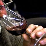 "Billigbiere müssen herunter gekühlt werden, um beim Trinken die Nerven im Mund zu betäuben. Weil ihnen die besonderen Aromen für guten Geschmack fehlen. Bei Whiskey ist es auch verpönt, einen Eiswürfel einzuwerfen. Rotwein wird bei 18 Grad getrunken. Schmeckt einem ein alkoholisches Getränk auch warm, so kann man meistens von guter Qualität und wenig Fuselölen ausgehen."  Stefan Luther, Dresden