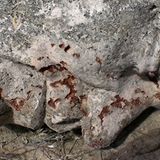 1933 wird er von den Nazis verhaftet und verbringt elf Jahre in Gefangenschaft, bis er 1944 im Konzentrationslager Buchenwald ermordet wird