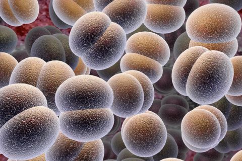 Wenn Keime sich vermehren, tauschen sie oft Gene aus. Das verändert ihr Äußeres