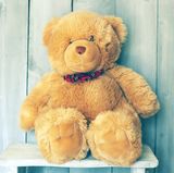 Kuscheltiere sind ebenfalls Wirte für Milben. Waschen Sie sie deshalb einmal im Monat bei 60 Grad oder legen Sie sie für mindestens zwölf Stunden in die Tiefkühltruhe und waschen Sie sie danach bei niedriger Temperatur aus