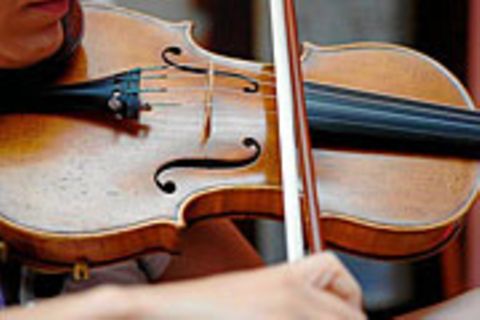 Eine Pilz-Behandlung lässt gewöhnliche Geigen besser klingen als eine Stradivari